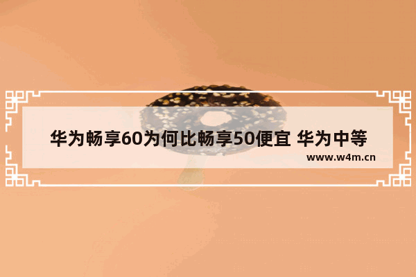 华为畅享60为何比畅享50便宜 华为中等低价位手机推荐