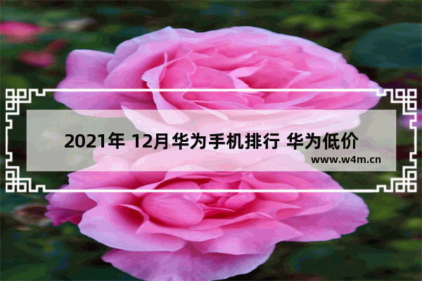 2021年 12月华为手机排行 华为低价位手机推荐哪款