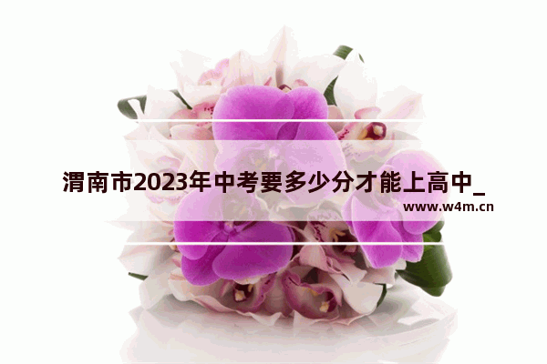 渭南市2023年中考要多少分才能上高中_渭南地生考多少分才能上高中