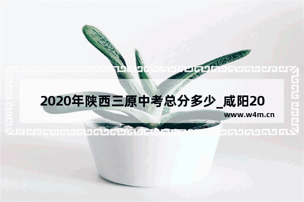 2020年陕西三原中考总分多少_咸阳2023中考各学校录取分数线