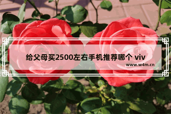 给父母买2500左右手机推荐哪个 vivo千元以下手机推荐父母用