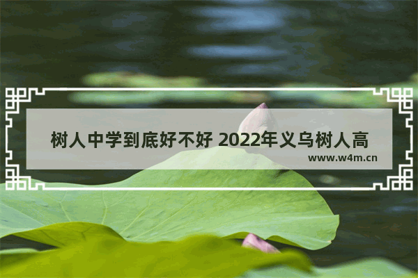 树人中学到底好不好 2022年义乌树人高考分数线