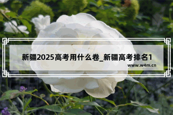 新疆2025高考用什么卷_新疆高考排名1028可以报