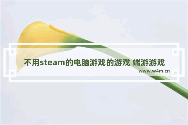 不用steam的电脑游戏的游戏 端游游戏推荐单机