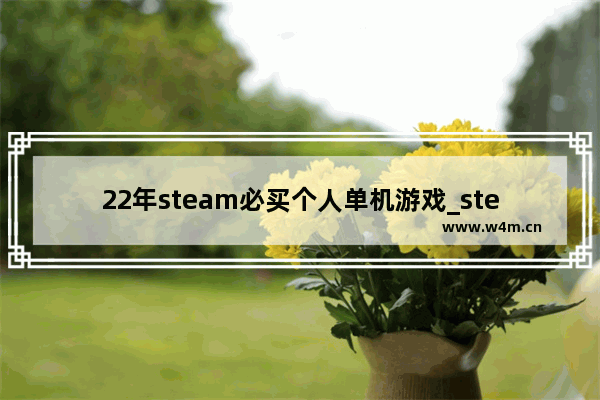 22年steam必买个人单机游戏_steam上好玩的二战射击游戏免费