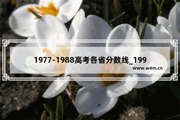 1977-1988高考各省分数线_1992年湖北省各大学录取分数线