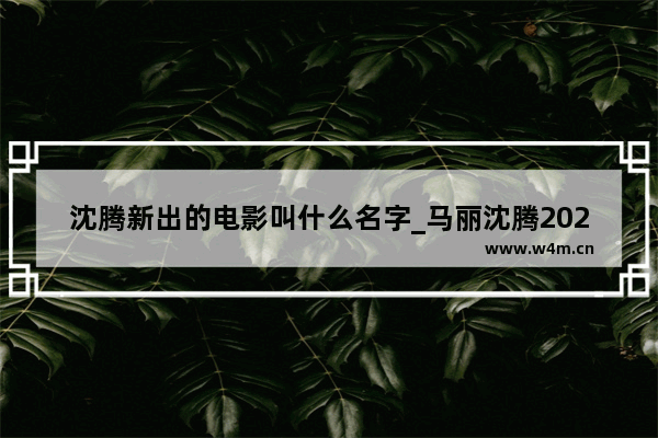 沈腾新出的电影叫什么名字_马丽沈腾2022年上映的电影有哪些