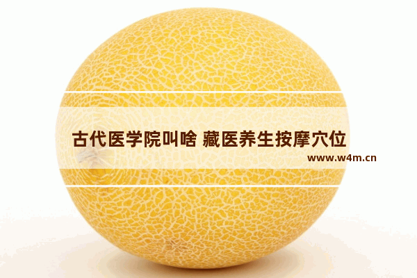 古代医学院叫啥 藏医养生按摩穴位