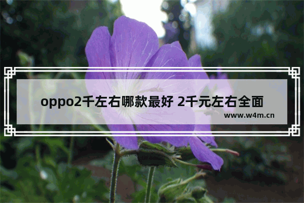 oppo2千左右哪款最好 2千元左右全面屏手机推荐