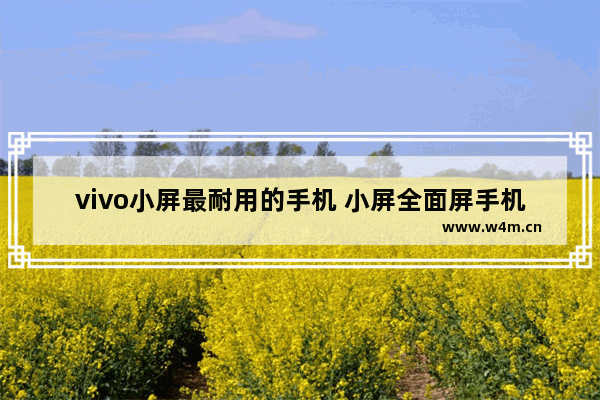 vivo小屏最耐用的手机 小屏全面屏手机推荐哪款好用又便宜