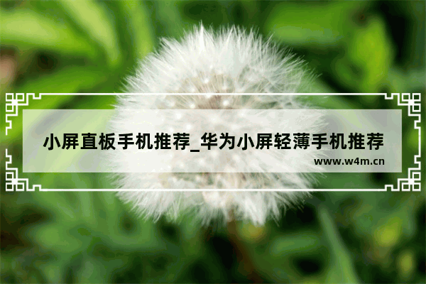 小屏直板手机推荐_华为小屏轻薄手机推荐