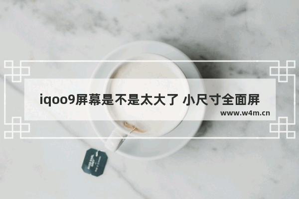 iqoo9屏幕是不是太大了 小尺寸全面屏手机推荐一下