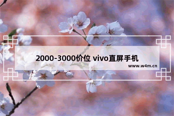 2000-3000价位 vivo直屏手机推荐 vivo高端直屏手机推荐哪款好点