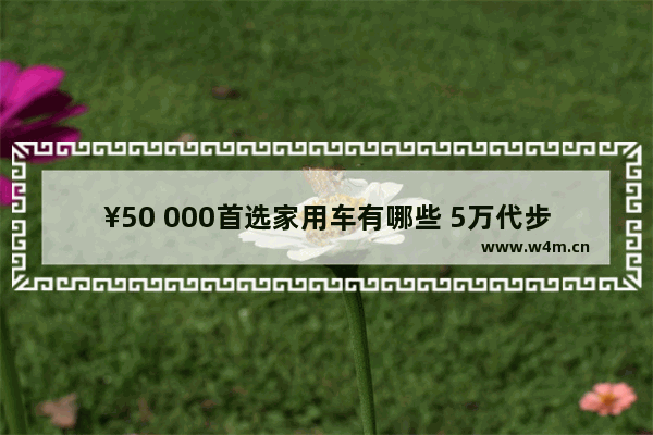 ¥50 000首选家用车有哪些 5万代步车新车推荐哪款车型