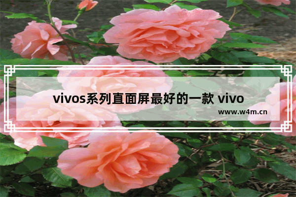 vivos系列直面屏最好的一款 vivo直屏手机推荐哪几款最好用又便宜