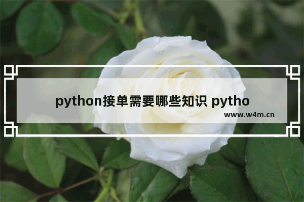 python接单需要哪些知识 python 股票交易接口