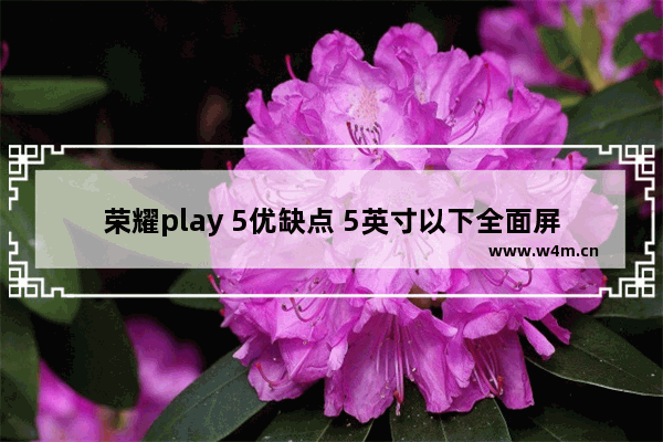 荣耀play 5优缺点 5英寸以下全面屏手机推荐哪款