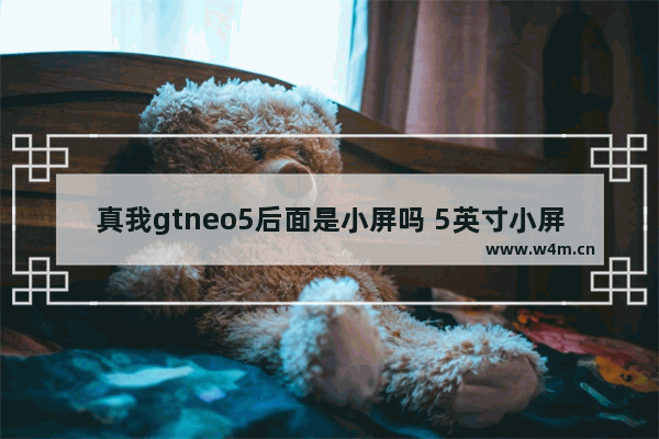 真我gtneo5后面是小屏吗 5英寸小屏全面屏手机推荐哪款