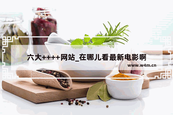 六大++++网站_在哪儿看最新电影啊