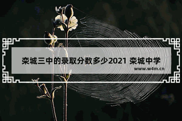 栾城三中的录取分数多少2021 栾城中学高考分班分数线