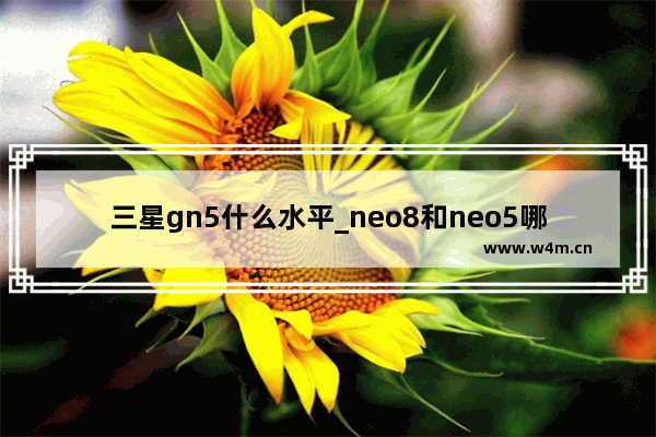 三星gn5什么水平_neo8和neo5哪个好