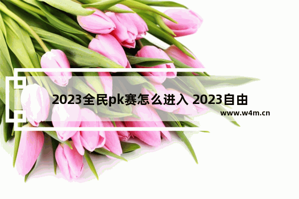 2023全民pk赛怎么进入 2023自由pk手游游戏推荐