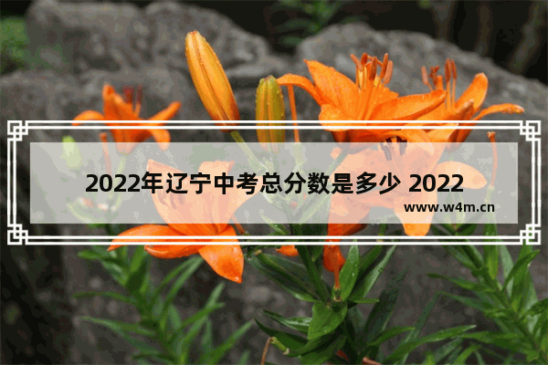 2022年辽宁中考总分数是多少 2022高考分数线公布物理辽宁