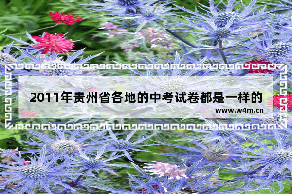 2011年贵州省各地的中考试卷都是一样的吗 2011贵州省高考分数线