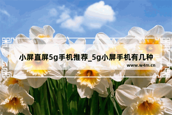 小屏直屏5g手机推荐_5g小屏手机有几种