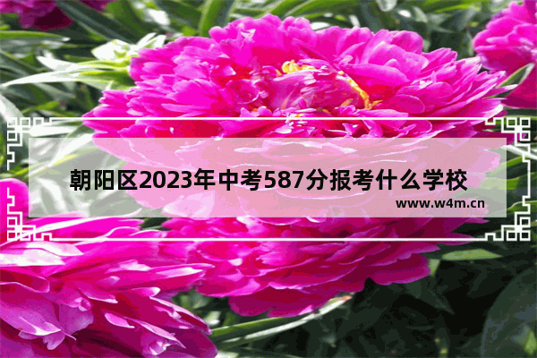 朝阳区2023年中考587分报考什么学校_22年人大附中朝阳学校中考录取分数线是多少