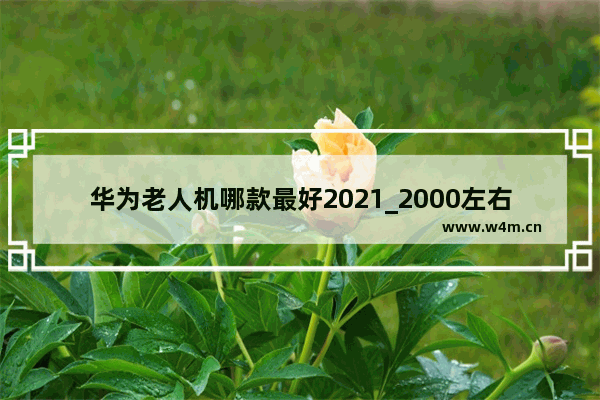 华为老人机哪款最好2021_2000左右华为5g手机推荐排行