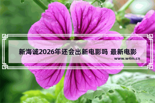 新海诚2026年还会出新电影吗 最新电影新海诚