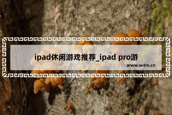 ipad休闲游戏推荐_ipad pro游戏推荐