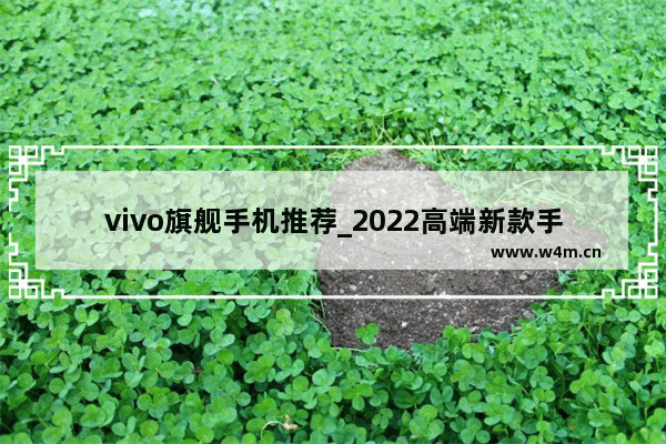 vivo旗舰手机推荐_2022高端新款手机排行榜