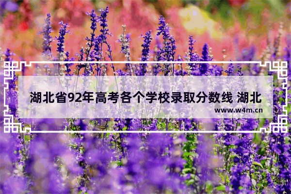 湖北省92年高考各个学校录取分数线 湖北省教高考分数线