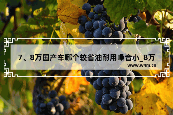 7、8万国产车哪个较省油耐用噪音小_8万落地国产新车推荐哪款车好一点