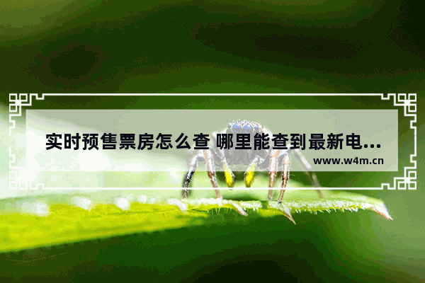 实时预售票房怎么查 哪里能查到最新电影票房情况信息表