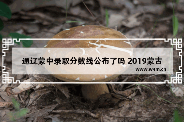 通辽蒙中录取分数线公布了吗 2019蒙古族高考分数线