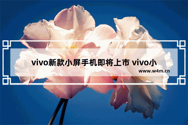 vivo新款小屏手机即将上市 vivo小屏手机推荐有哪些款式