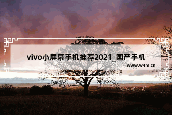 vivo小屏幕手机推荐2021_国产手机vivo有小屏的吗