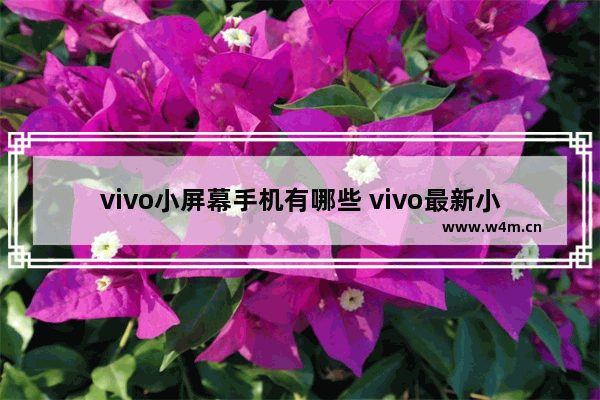 vivo小屏幕手机有哪些 vivo最新小屏手机推荐哪款好用