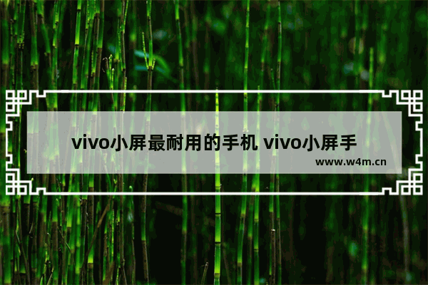 vivo小屏最耐用的手机 vivo小屏手机推荐性价比高