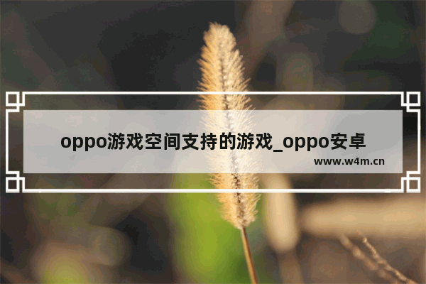 oppo游戏空间支持的游戏_oppo安卓隐藏小游戏怎么玩