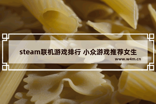 steam联机游戏排行 小众游戏推荐女生多人联机游戏