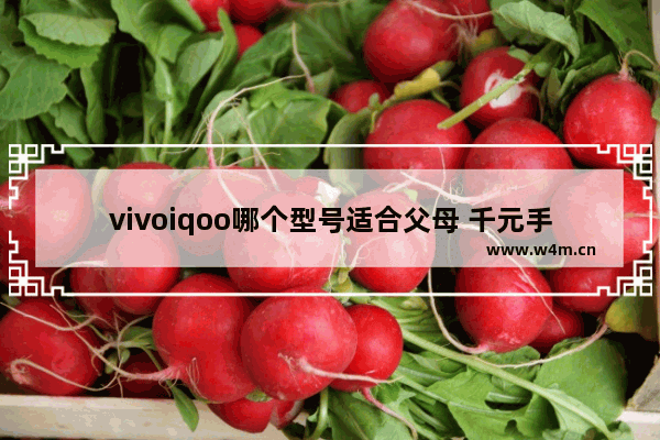 vivoiqoo哪个型号适合父母 千元手机推荐护眼父母用