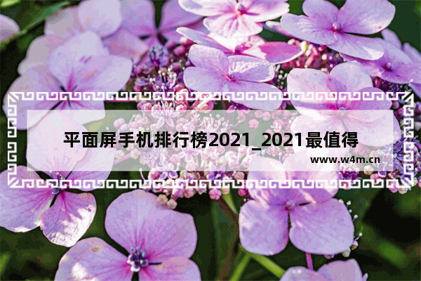 平面屏手机排行榜2021_2021最值得买的平面手机