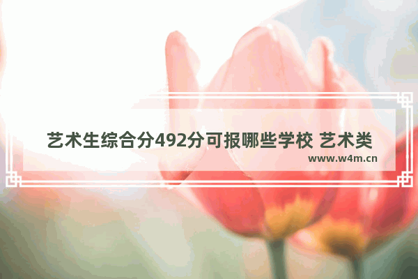 艺术生综合分492分可报哪些学校 艺术类高考分数线492