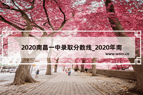 2020南昌一中录取分数线_2020年南昌大学录取分数线是多少