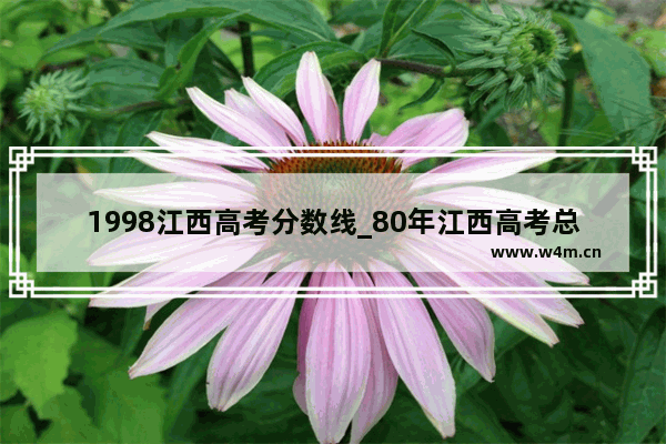 1998江西高考分数线_80年江西高考总分