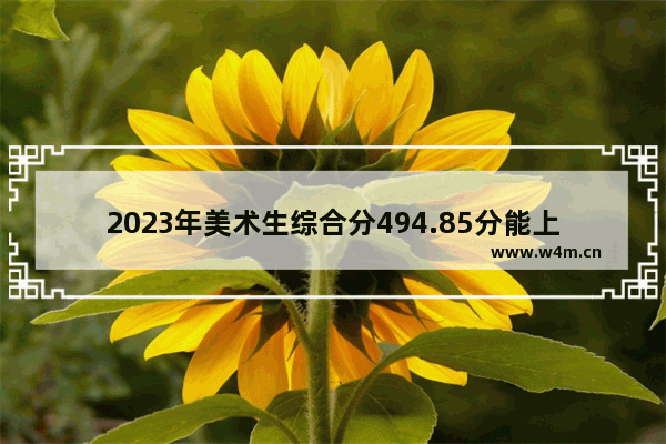 2023年美术生综合分494.85分能上本科吗_江西艺术生高考的一本线